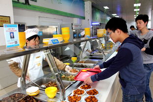 強化監督評議，提升餐飲服務管理水平